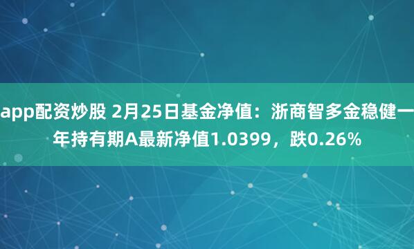 app配资炒股 2月25日基金净值：浙商智多金稳健一年持有期A最新净值1.0399，跌0.26%