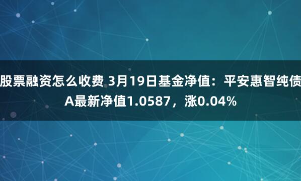 股票融资怎么收费 3月19日基金净值：平安惠智纯债A最新净值1.0587，涨0.04%