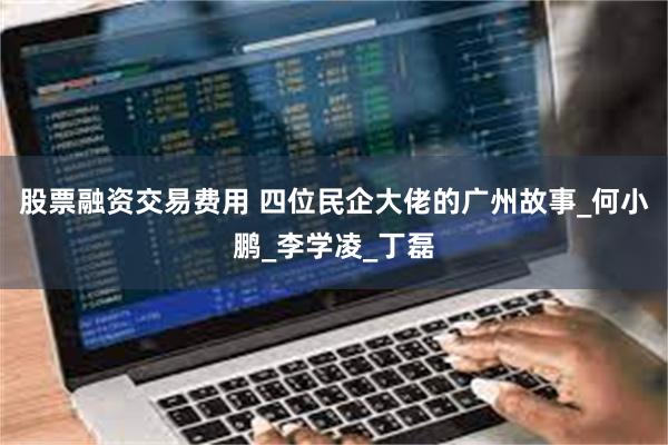 股票融资交易费用 四位民企大佬的广州故事_何小鹏_李学凌_丁磊