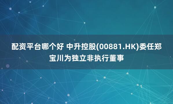配资平台哪个好 中升控股(00881.HK)委任郑宝川为独立非执行董事