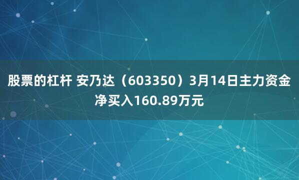 股票的杠杆 安乃达（603350）3月14日主力资金净买入160.89万元