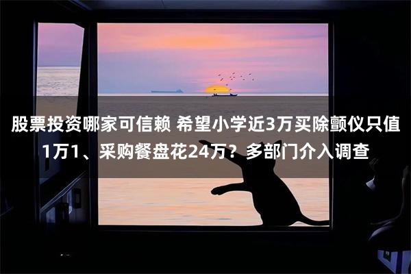 股票投资哪家可信赖 希望小学近3万买除颤仪只值1万1、采购餐盘花24万？多部门介入调查