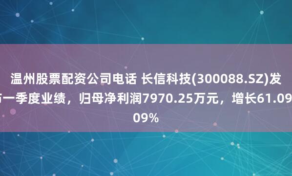 温州股票配资公司电话 长信科技(300088.SZ)发布一季度业绩，归母净利润7970.25万元，增长61.09%