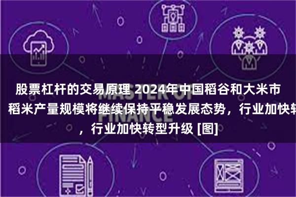 股票杠杆的交易原理 2024年中国稻谷和大米市场现状简析：稻米产量规模将继续保持平稳发展态势，行业加快转型升级 [图]